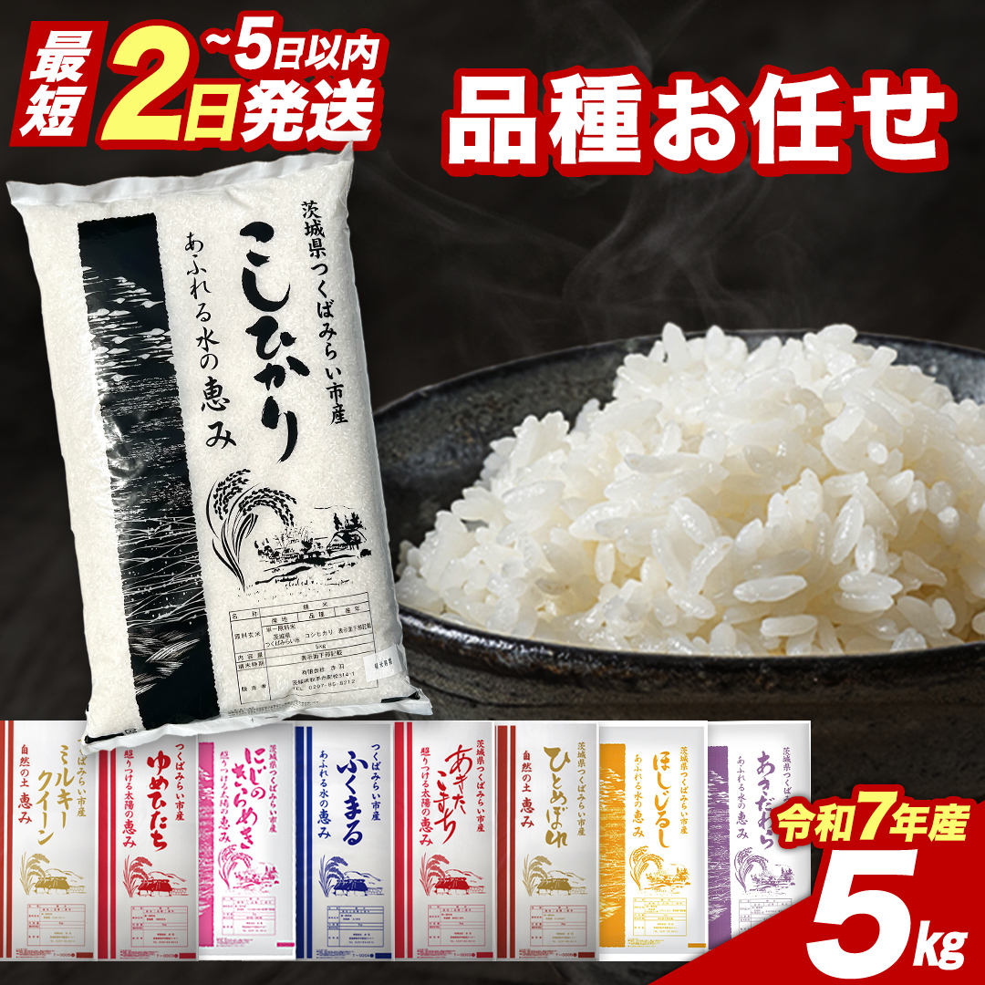 【 スピード出荷 】品種おまかせ 5kg 茨城県つくばみらい市