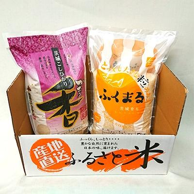 ふるさと納税 茨城町 【令和7年産】茨城県産米　こしひかり香&茨城育ちふくまるセット　(各5kg) |  | 01
