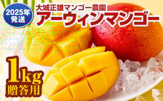 【2025年発送】大城正雄マンゴー農園　アーウィンマンゴー　贈答用1kg