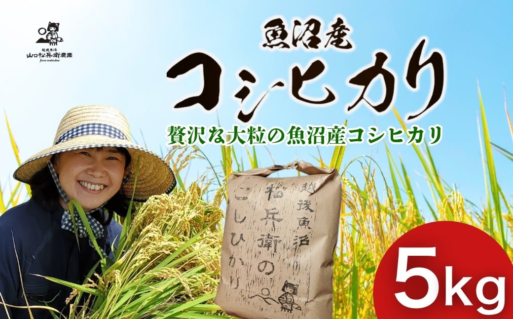 
            【令和6年産米】越後魚沼 松兵衛のこしひかり (5kg×1袋) 従来品種 山口松兵衛農園 【0042-0002-01】
          