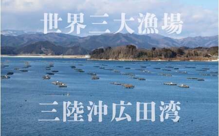 訳あり殻付き生牡蠣 3Sサイズ×20個 生食可 牡蠣