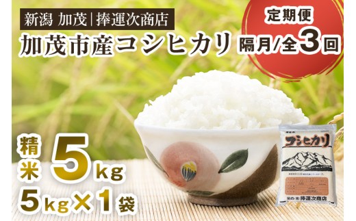 【令和8年産新米先行予約】【定期便3回隔月お届け】加茂市産コシヒカリ 精米5kg（5kg×1袋） 《10月上旬～順次出荷》 こしひかり 新潟米 お米 白米 ライス ご飯 加茂市 捧運次商店