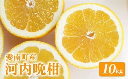 山口農園 河内晩柑 10kg 愛南ゴールド 河内晩柑