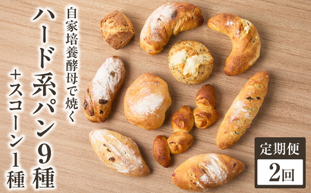 【全2回定期便】選べる回数！自家培養酵母で焼くハード系パン9種＋スコーン1種セット！ 065-04-T01
