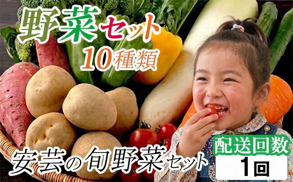 【 安芸野菜 】 野菜 10種類 詰め合わせ 安芸野菜
