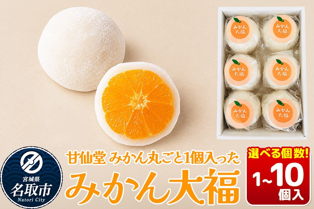 和菓子 甘仙堂 みかん丸ごと1個入った みかん大福【選べる個数】（1個／6個／10個入り） 大福 和菓子 スイーツ [みちのく和菓子処 甘仙堂 老舗 和菓子 お菓子 和スイーツ お茶菓子 宮城]