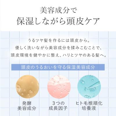 ふるさと納税 入間市 〈12本セット〉モイスチャーシャンプー(1年分)[LULUNA]ルルーナ |  | 03