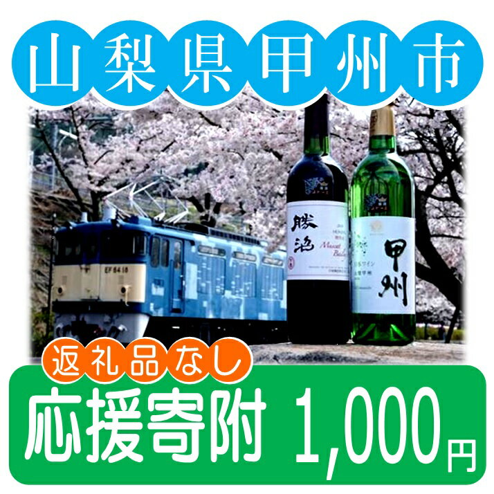【ふるさと納税】 山梨県甲州市 応援寄附 1口 1,000円 甲州市への応援寄附 【返礼品なし】 ショップ買いまわり 大感謝祭 楽天スーパーセール ブラックフライデー 買い回り 【A1-1000】
