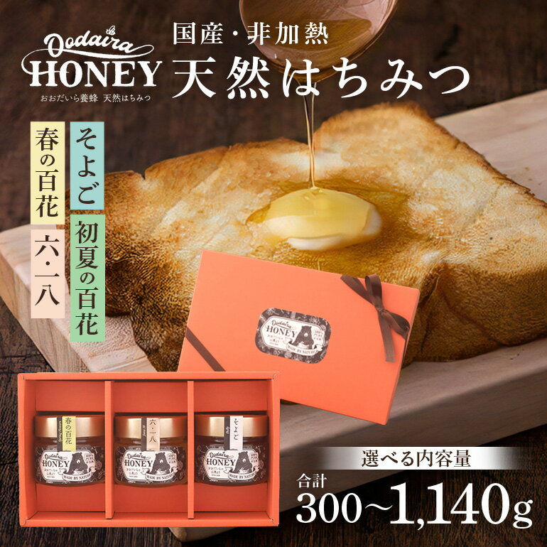 【ふるさと納税】 国産 天然 非加熱 はちみつ 蜂蜜 おおだいら養蜂 春の百花 6.18 そよご 初夏の百花 2種 3種 選べる内容量 150g 230g 380g 2本 3本 セット 193 送料無料