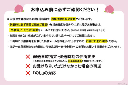 【先行受付】 桃 2kg (5～8玉) [OUTTA REACH JAPAN 山梨県 韮崎市 20742338] もも モモ フルーツ 果物 ピーチ 山梨県産 期間限定 季節限定 旬