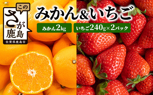 
【予約受付】【目利きのプロが厳選】佐賀県産みかん約2kg＆イチゴ セット いちご 苺 みかん 蜜柑 ミカン フルーツ 果物 ギフト 贈物 プレゼント 贈答 セット B-668
