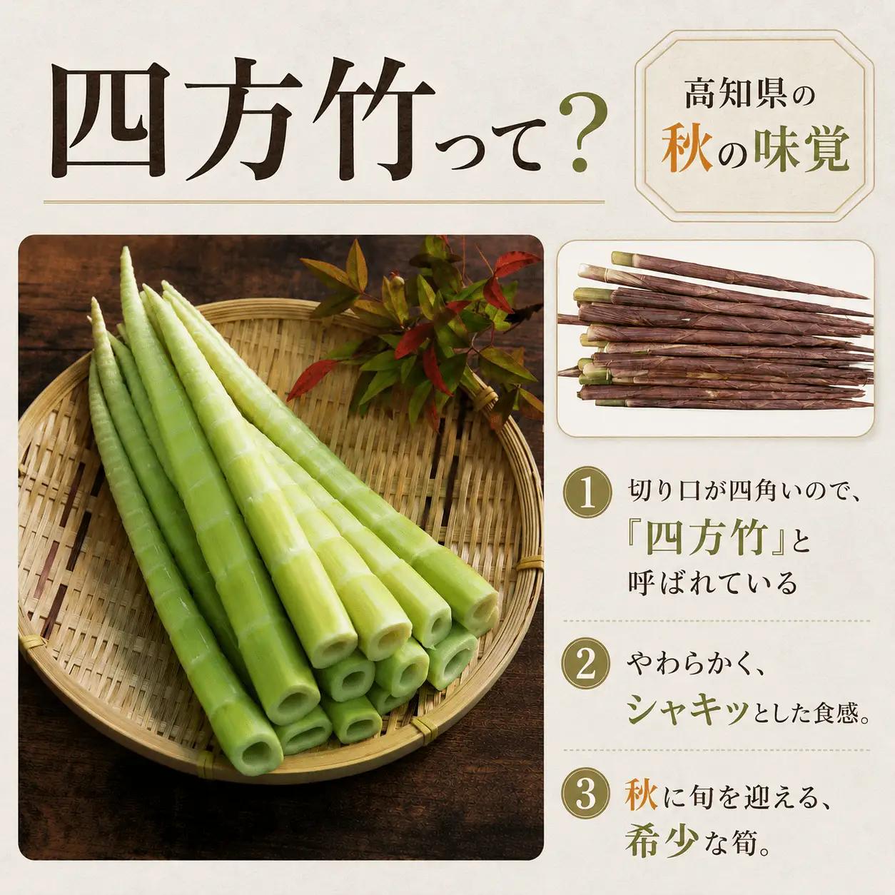 【8月まで 受付限定】 国産 四方竹 づくし 3種セット 水煮 土佐煮 炊き込みごはんの素 計3袋 (2026年11月～発送) | シホウチク 筍 たけのこ 特産 珍味 希少 高知 南国市