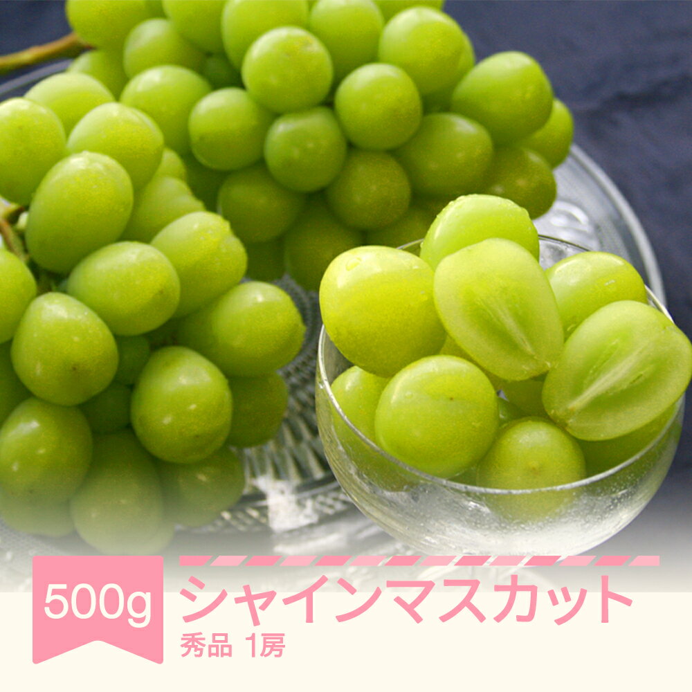 【ふるさと納税】【先行予約】シャインマスカット 秀品 500g 令和8年産 2026年産 果物 送料無料 ※沖縄・離島への配送不可 mm-busmx1