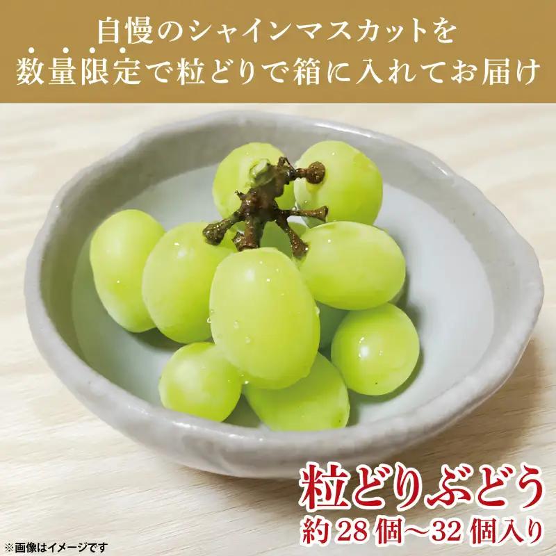 シャインマスカット 先行予約 約28個～32個 約800g ぶどう 葡萄 フルーツ シャインマスカット
