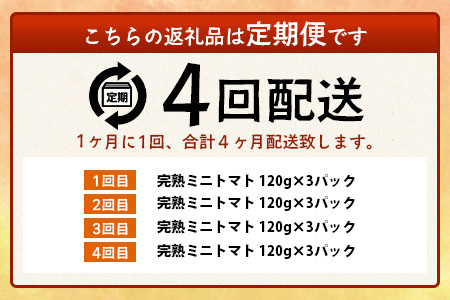 【4回定期便】【先行受付】2027年1月より順次発送予定【少量パック】完熟ミニトマト 360g (120gx3p) | トマト プチトマト 野菜 農家直送 ギフト 人気 佐賀県鹿島市 たにぐちファーム