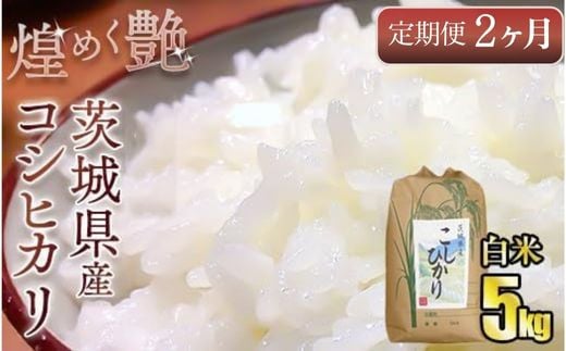 
            【定期便2ヶ月連続】煌めく艶 令和6年 茨城県産 コシヒカリ 5kg【白米】5kg×2回 合計10kg◇ ｜ 白米 日本穀物検定協会 最高評価 精米 ごはん ご飯 お米 おこめ 精米 こしひかり ブランド米 定期 定期便 国産 茨城県産 守谷市 送料無料
          