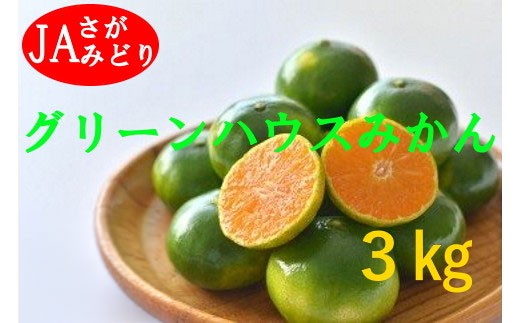 O150x1 すっきり爽やか！！グリーンハウスみかん 3kg みかん ミカン 蜜柑 フルーツ くだもの 果物 ミネラル豊富 太良町 国産 贈答用 【2026年7月下旬-8月下旬発送予定】