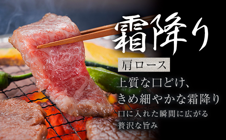 あか牛 霜降り 肩ロース 焼肉 4kg《1月上旬-3月末頃出荷》熊本県 氷川町 牛 牛肉 和牛 ブランド牛