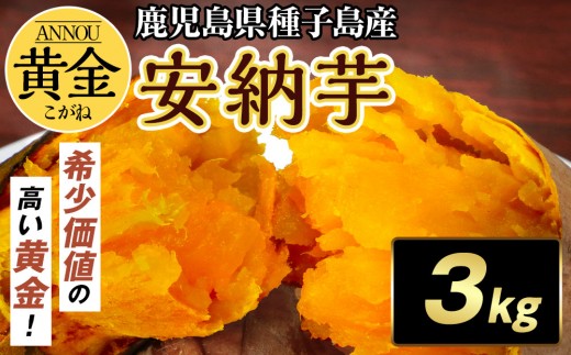 種子島産安納黄金いも3kg 2S～Sサイズ（61g～150g）