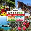 【ふるさと納税】一括寄附で4つの事業を応援！返礼品なし 100,000円（子ども食堂・観光馬車実現・椿の森再生・まちづくり支援）10万円 子供 子育て 福祉 動物保護 自然保護 環境整備 教育 自然 高知県 高知 土佐清水 故郷納税 ふるさとのうぜい 返礼品【R01226】