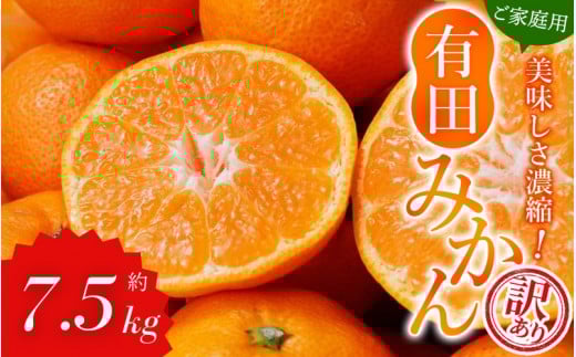訳あり 有田みかん 約7.5kg ご家庭用 サイズ混合 農家直送 【2025年11月中旬より順次発送予定（お届け日指定不可）】 訳ありみかん みかん ミカン 蜜柑 柑橘 フルーツ 果物 くだもの 温州みかん 有機質肥料100% 人気 甘い 和歌山県 北山村 ※北海道・沖縄・離島への配送不可【nuk157F】