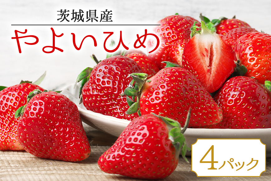 【数量限定・期間限定】 やよいひめ 4パック 約1kg いちご イチゴ 苺 フルーツ 果物 くだもの 国産 茨城県産 高糖度 甘い 濃厚 ジューシー スイーツ作り ケーキ作り お菓子作り 17-T 【1/12まで受付・1月中旬～2月上旬に順次発送予定】
