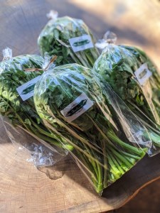 クレソン 1200g ※北海道・沖縄・離島への配送不可 ※着日指定不可 DSL006