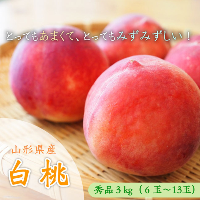 山形市産 白桃 [柔らかくなる桃] 秀品 約3kg (6玉～13玉) 【令