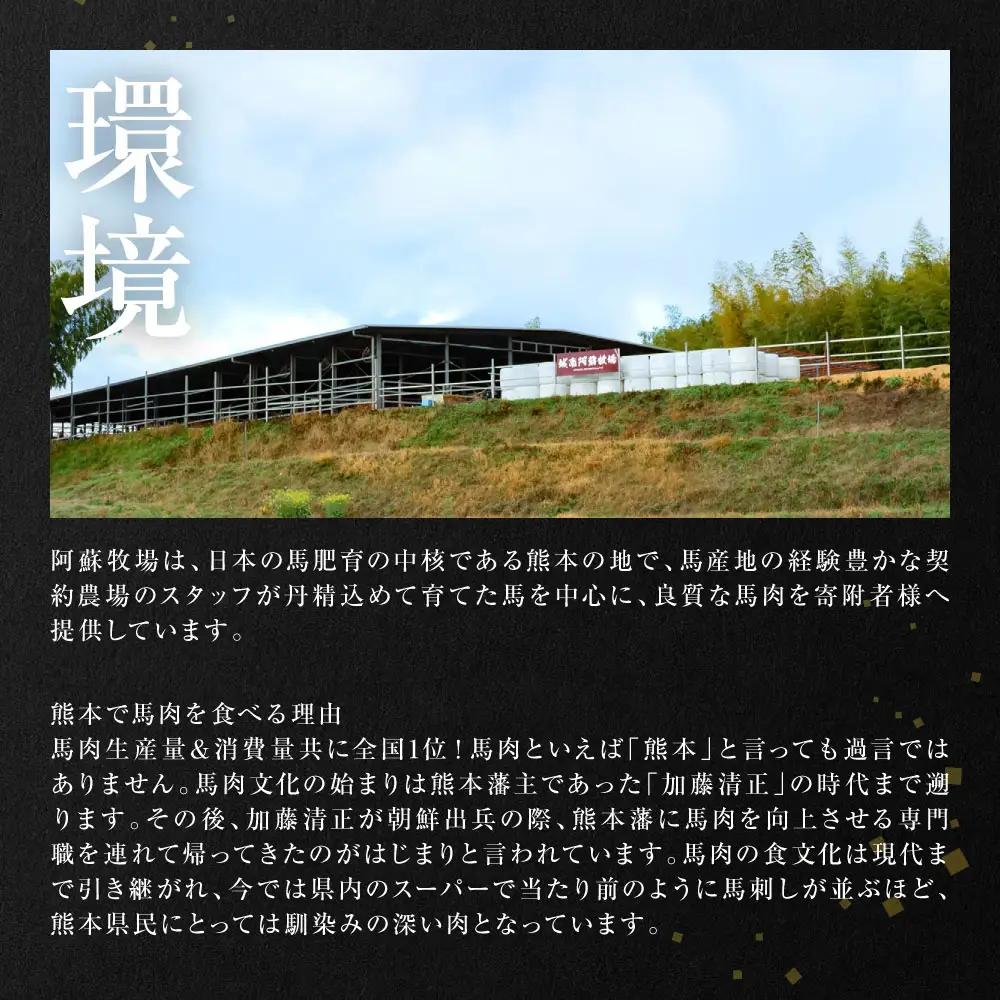 中トロ馬刺し300g 馬さし お肉 馬肉 刺身 刺し身 馬刺し 馬刺しブロック 馬刺し冷凍 おかず おつまみ 熊本県 八代市