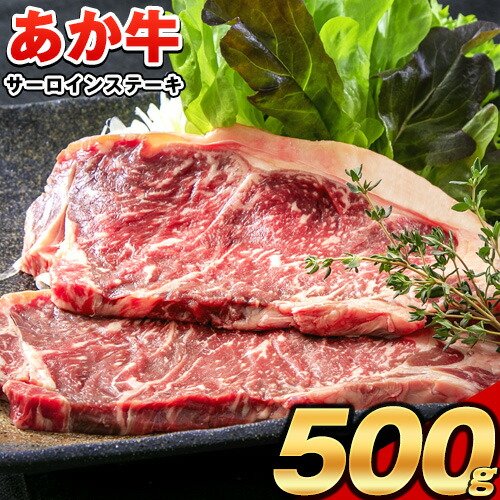 あか牛（褐毛和牛） サーロイン ステーキ 500g 牛肉 冷凍《30日以内に出荷予定(土日祝除く)》