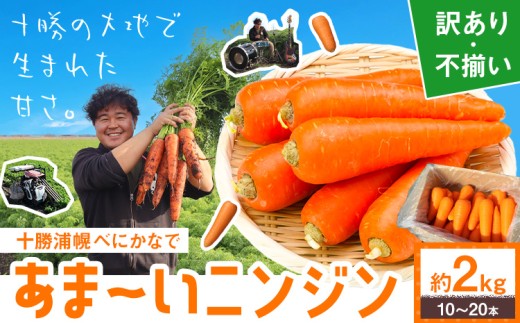 にんじん 浦幌べにかなで 訳あり 不揃い 約2kg 10～20本 レギューム 北海道 浦幌町産 十勝 国産 人参 ニンジン 紅奏 冬人参 規格外 キャロット 生食 ジュース用 スムージー 離乳食 サラダ 甘い シャキシャキ 美味しい 安心 安全 野菜 お野菜 やさい 2キロ 自炊 まとめ買い お取り寄せ グルメ ギフト 送料無料《11月上旬から4月末頃出荷》