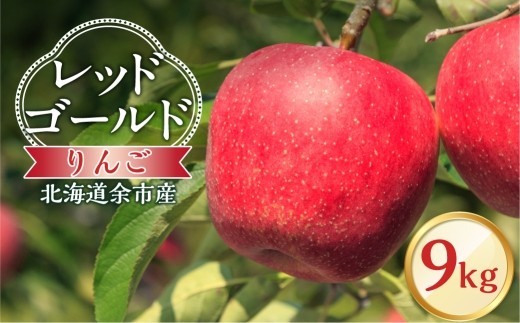 
                  【先行予約：2026年10月中旬より発送】りんご（レッドゴールド）9kg【北海道余市町産】
                
