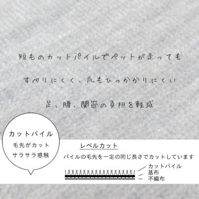 ふるさと納税 和泉市 カーペット 日本製 抗菌防臭 犬 猫 ペット対応 ビオラ 176×261cm 江戸間 3畳用 グレー |  | 01