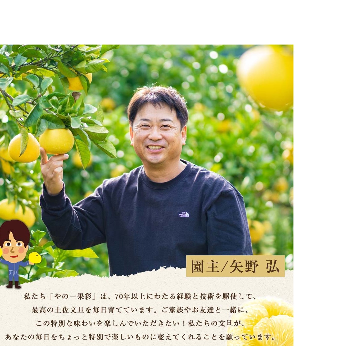 【日本ギフト大賞2024受賞】【先行予約】文旦 大玉5kg（3L～2L）2026年1月下旬より順次発送 土佐文旦 みかん 柑橘 ぶんたん ブンタン 果物 フルーツ お取り寄せ おいしい 家庭用 贈答用