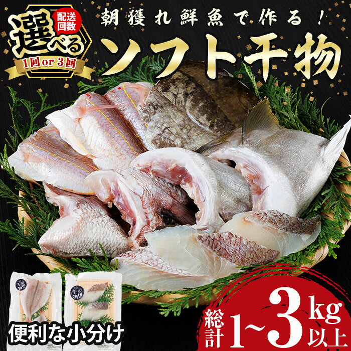 【ふるさと納税】＜お届け回数が選べる！＞朝獲れ鮮魚で作る！魚屋さんの 自家製 ソフト 干物(合計1kg以上・総計3kg以上)アジ イワシ カマス イカ タイ ブリカマ セット 詰め合わせ ひもの 焼き魚 おかず お惣菜【YS-3・YS-9】【株式会社安田】