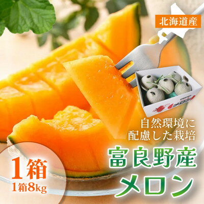 【ふるさと納税】【糖度15度以上 赤肉メロン】富良野産 メロン8kg サイズいろいろ1箱|北海道富良野市7～8月発送【1705342】