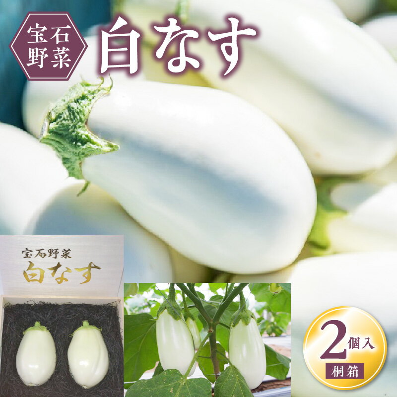 【ふるさと納税】宝石野菜 白なす 桐箱 2個入 大きい 果肉 軟らかく アクが少ない 癖がない 味が絶品 女性の顔が隠れるくらい 揚げナス 煮浸し めんつゆ トロトロ 珍しい野菜 珍しい茄子 エイチアイ株式会社 お取り寄せ ギフト 久留米市 送料無料