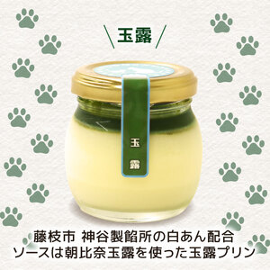 プリン 手作り カスタード プリン 玉露 プリン 各3個 計6個セット お菓子 デザート スイーツ おいしい おやつ 洋菓子 ご褒美 送料無料 静岡県 藤枝市 ( ﾌﾟﾘﾝ ﾌﾟﾘﾝ ﾌﾟﾘﾝ ﾌﾟﾘ