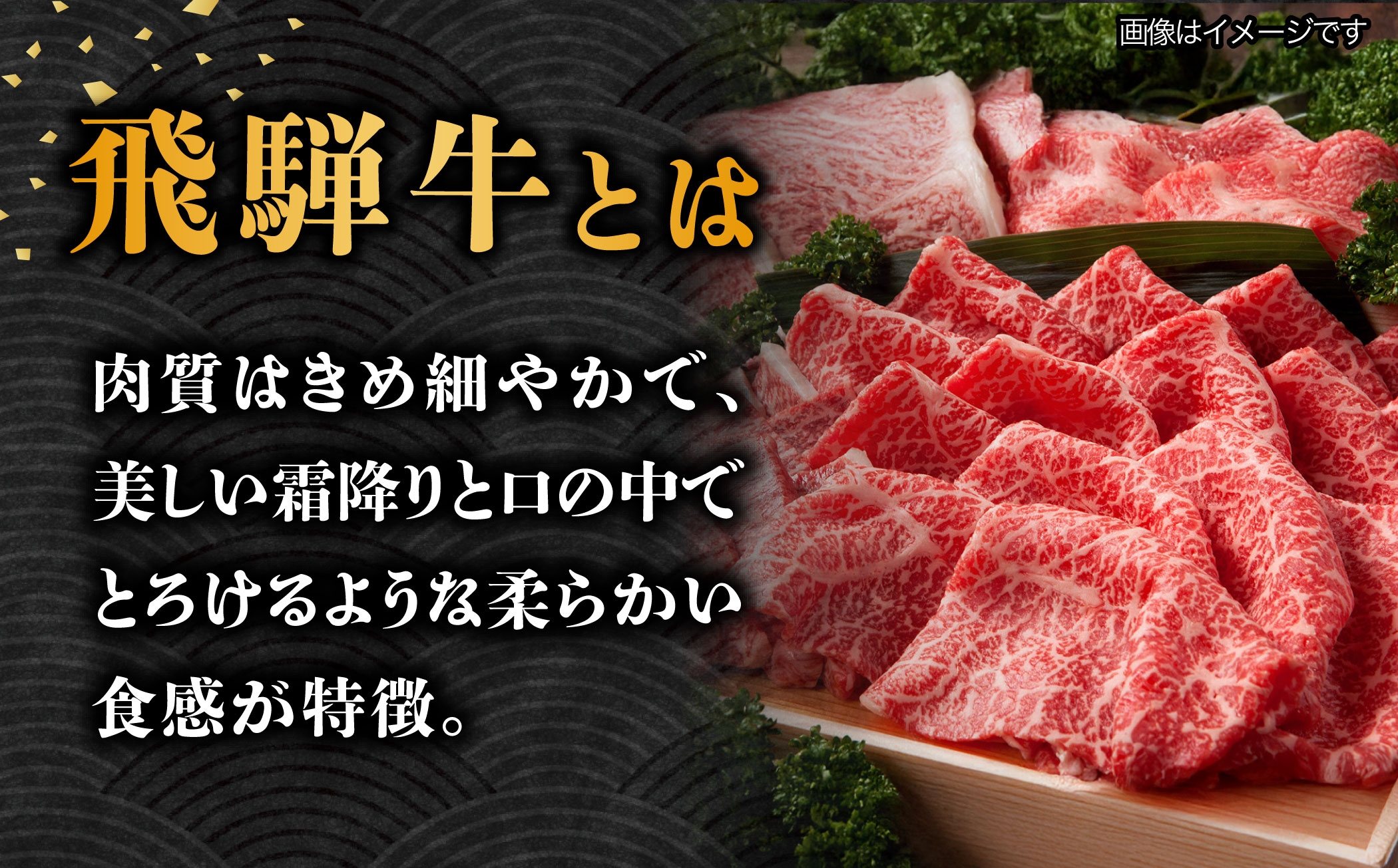 飛騨牛 すき焼き用 ロース / 肩ロース 500g