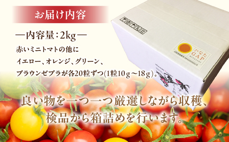 【数量・期間限定】美トマト(5色) 2kg ミニトマト 野菜 ギフト