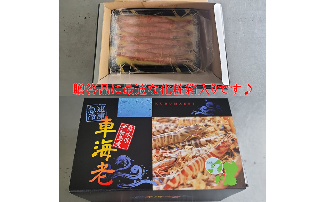 車海老の味噌漬【ニンニク】（中～大サイズ）計500g（250g×2）海老 えび 味噌漬け にんにく味