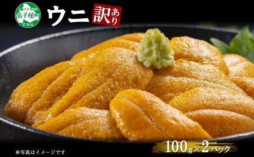 1259.訳あり うに チリ産 冷凍 200g ワケあり ウニ 雲丹 不揃い B級品 うに わけ あり 海鮮 4人前 丼 刺身 自宅用 送料無料 北海道 弟子屈町