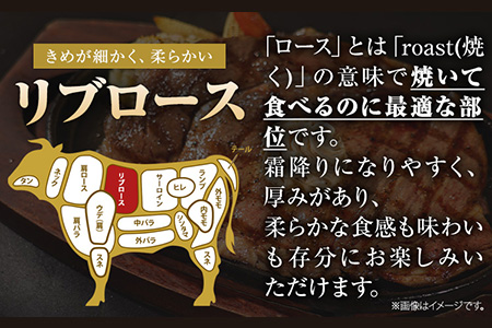 くまもと黒毛和牛 リブロースステーキ 500g ( 250g x 2枚 ) 牛肉 冷凍 《1月中旬-4月末頃より出荷予定》 くまもと黒毛和牛 黒毛和牛 冷凍庫 個別 取分け 小分け 個包装 ステーキ肉