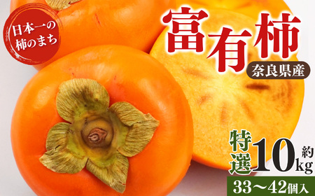 富有柿 特選 約 10kg （ 33～ 42個 入 ） | フルーツ くだもの 果物 柿 かき カキ 奈良県 五條市 果実 11月 12月 発送 秋 旬 味覚 グルメ お取り寄せ 送料無料 大容量 選べる 容量 農家直送 産地直送 ビタミン タンニン 食物繊維 豊富 美容 健康 梨子本農園 特産品 多汁 甘い 柔らかい ジューシー 甘柿 王様 みずみずしい エコファーマー認定