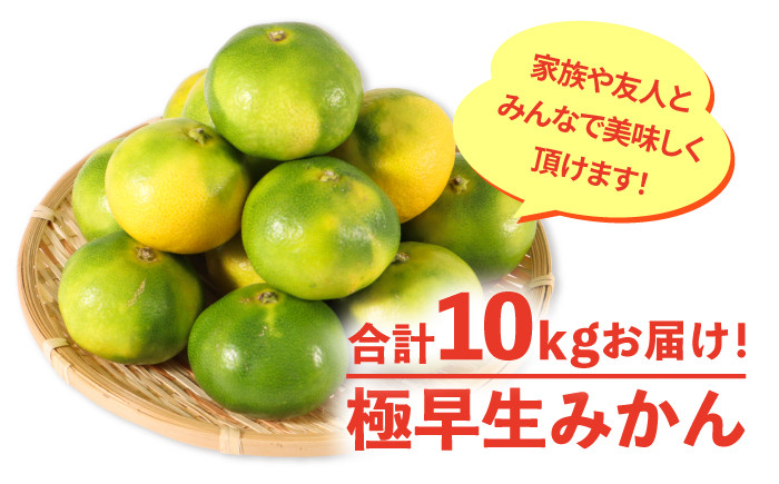 
                  【10月以降順次発送】佐賀県産 極早生みかん 約10kg　2S～2Lサイズ　 [FBT042]
                