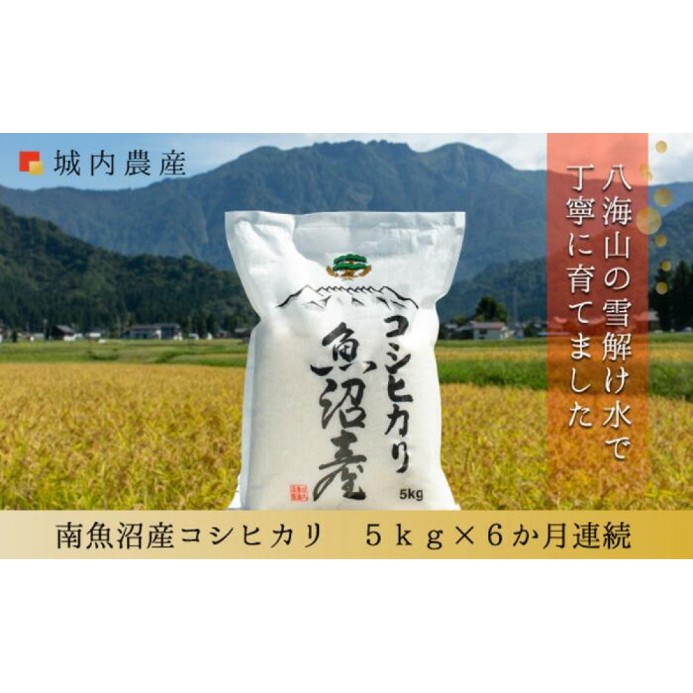 【令和７年 産新米】【お米定期便/全６回】南魚沼産コシヒカリ　白米５ｋｇ＜５割減農薬栽培米＞ 城内農産