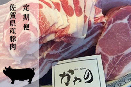 【定期便6回】佐賀県産 豚肉「肥前さくらポーク」偶数月配送 全6回 定期便 _k-1