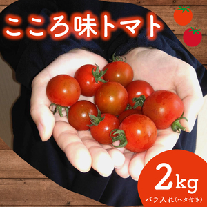 トマト プチトマト ミニトマト 就労支援 