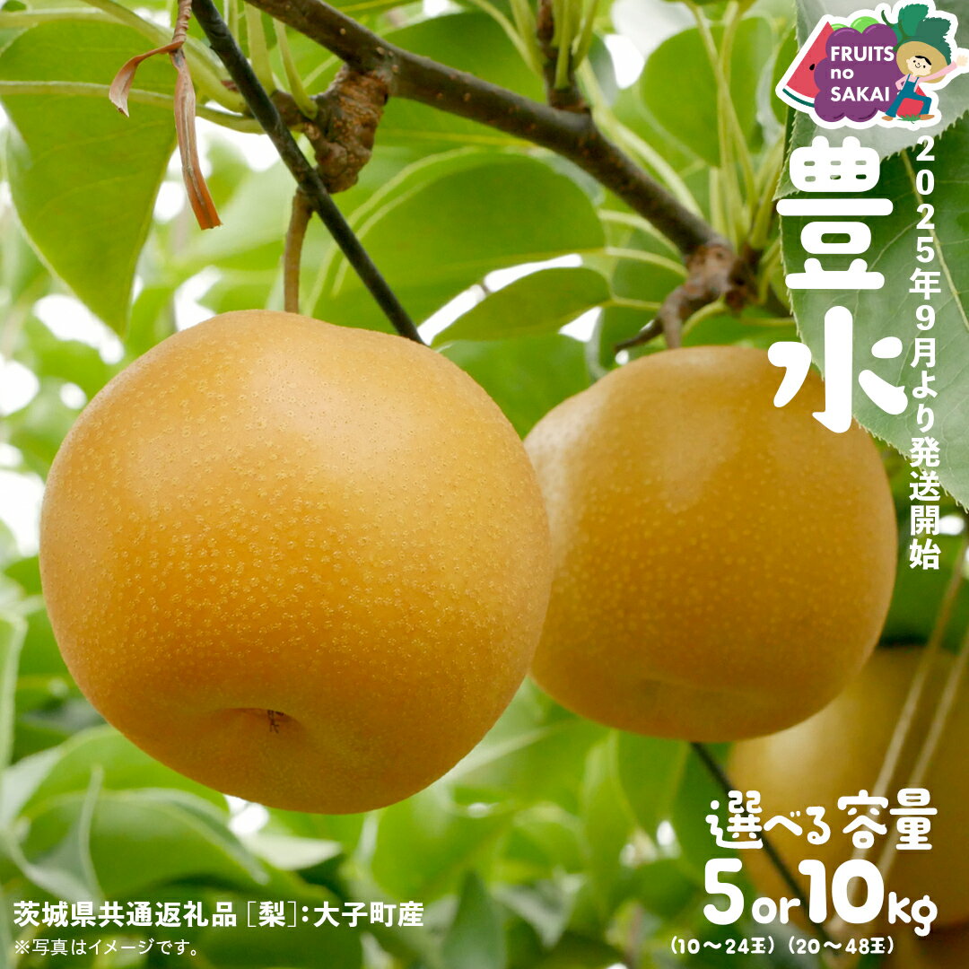 【ふるさと納税】＼ 選べる内容量 ／ 豊水 梨 5kg （10～24玉）/ 10kg （20～48玉）【2025年9月より発送開始】（茨城県共通返礼品 [梨]：大子町産） なし 旬 お取り寄せ フルーツ 甘い ジューシー 和梨 時期