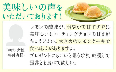 [031-a002_A] レモン果汁たっぷりの名物レモンケーキ 10個入り 
